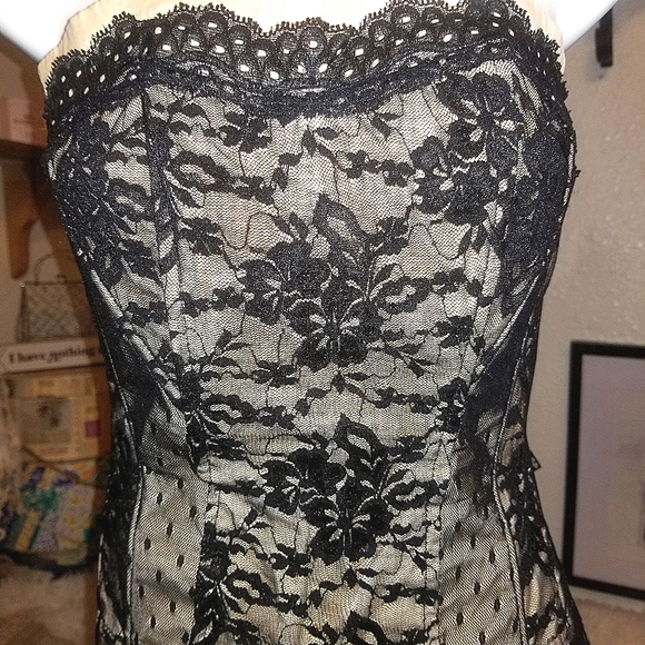 Tripp nyc Tops - Tripp NYC lace overlay bustier style peplum top with back zip